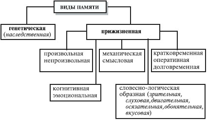 что такое психические процессы перечислите познавательные процессы. Смотреть фото что такое психические процессы перечислите познавательные процессы. Смотреть картинку что такое психические процессы перечислите познавательные процессы. Картинка про что такое психические процессы перечислите познавательные процессы. Фото что такое психические процессы перечислите познавательные процессы