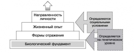 какую структуру личности разработал платонов. image008. какую структуру личности разработал платонов фото. какую структуру личности разработал платонов-image008. картинка какую структуру личности разработал платонов. картинка image008. Здравствуйте, дорогие друзья! С вами Евгений Седов, руководитель проекта ПсиЧудо – Твой Шанс Совершить Чудо.
