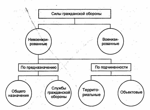 Го состоит. Силы гражданской обороны схема. Состав сил гражданской обороны. Силы граждансойтобороны. Основные силы гражданской обороны.