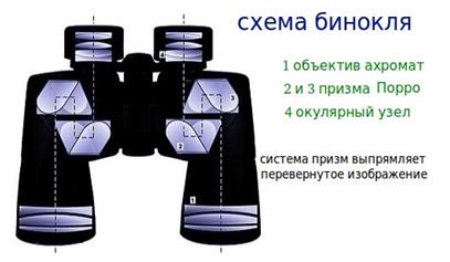 Из чего состоит бинокль схема