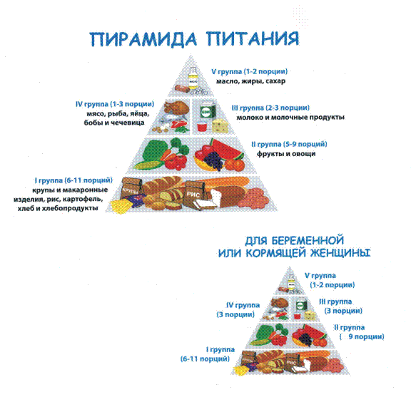 5 групп питания