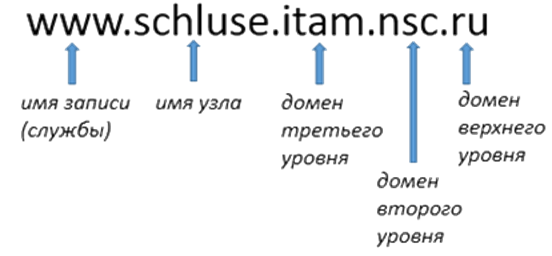 Доменное имя это. Состав домена. Состав доменного имени. Доменная структура. Разница доменов