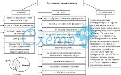 Сходство и различия социальных норм