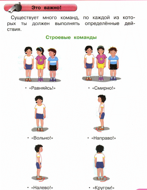 Упражнение для детей 1 класса. Упражнения для урока физкультуры 1 класс. Команды на уроке физкультуры. Команды строевых упражнений в гимнастике. Строевые упражнения в физической культуре.