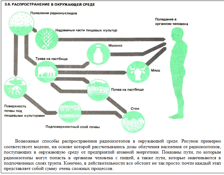 После попадания в организм. Распространение радионуклидов в окружающей среде. Схема распространения радионуклидов в окружающей среде. Схема миграции радионуклидов в окружающей среде. Попадания радионуклидов в окружающую среду.