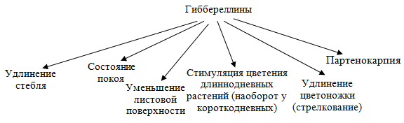 Фитогормоны таблица. Гиббереллины функции. Физиологические эффекты гиббереллинов. Гиббереллины гормоны растений. Фитогормоны растений.