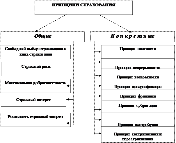 Принципы страхования Общие и конкретные. Основные принципы страхового дела. Основной принцип страхования. Принципы страхования схема. Страховое дело функции