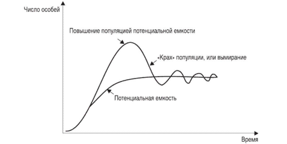 Почему выживают популяции с низкой рождаемостью