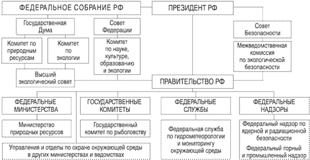 Органы общей компетенции в области охраны. Структура органов гос власти РФ схема. Структура органов управления охраны окружающей среды в РФ. Схема органов управления в сфере охраны окружающей среды. Структура государственных органов по охране окружающей среды.