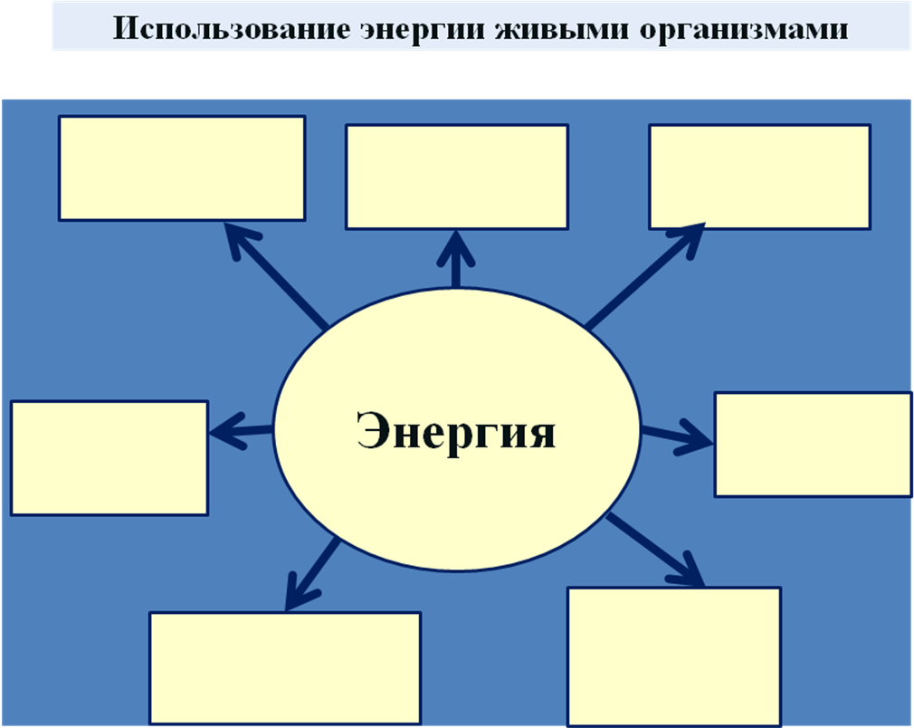 Какую энергию используют животные. Использование энергии организмом схема. Схема использования живыми организмами энергии. Использование энергии живыми организмами. Как организмы используют энергию.