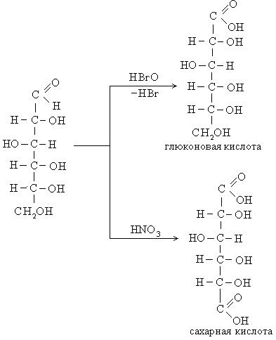 Глюкоза глюконовая кислота реакция. Сахарная кислота. Глюконовая кислота формула. Глюконовая кислота=сахарная кислота. Сахарная кислота получение.