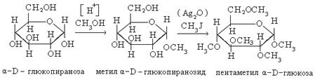 Глюкоза в этанол реакция. Алкилирование Альфа d Глюкозы. Альфа д Глюкоза и метанол. Альфа Глюкоза с метанолом реакция. Алкилирование Глюкозы формула.