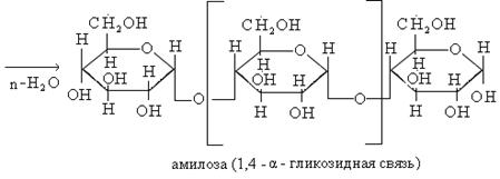 Реакция поликонденсации глюкозы. Поликонденсация Альфа Глюкозы. Реакции поликонденсации бета-Глюкозы. Поликонденсация бета Глюкозы. Реакция поликонденсации бета Глюкозы формула.