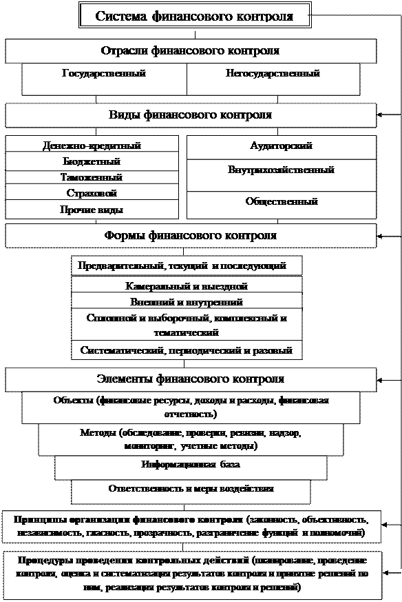 Повышения эффективности финансового контроля. Система государственного финансового контроля. Виды финансового контроля схема. Элементы государственного финансового контроля. Финансовый контроль схема.