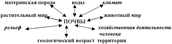 Составить схему почвообразующие факторы