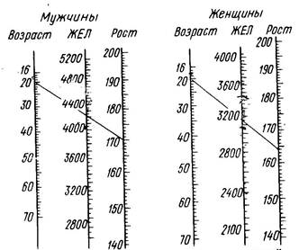 Жизненная емкость у женщин