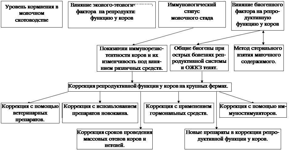 Схема диспансеризации животных