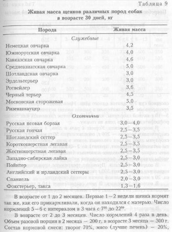 Сколько кормить щенка 5 месяцев