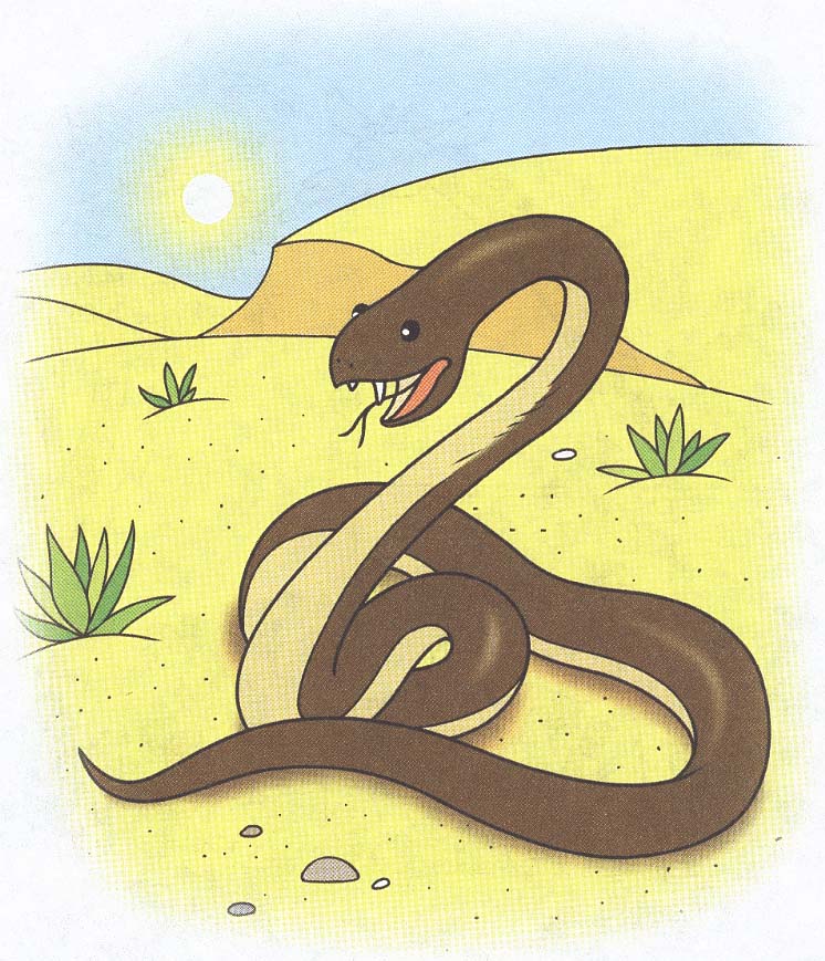 Звук шипения змей. Змеи для детей. Змея рисунок. Картинка змеи для детей. Змея шипит.