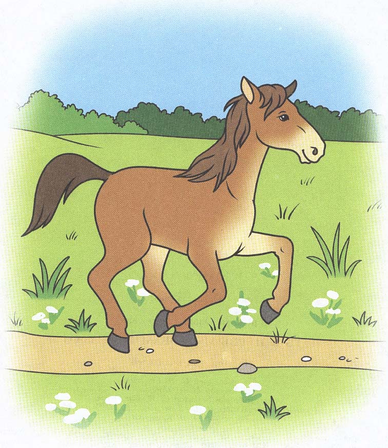 По дороге лошадка. Лошадка для детей. Лошадка рисунок. Лошадь рисунок для детей. Лошадка для детей которая скачет.
