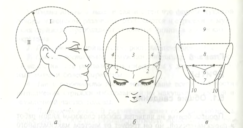 Зона затылка. Схема теменная зона головы. Зоны волосяного Покрова головы схема. Зоны и проборы головы для парикмахеров.