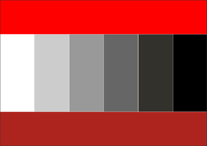 Палитра красный белый. Сочетание красного и серого палитра. Цветовая палитра черный белый красный. Сочетание цветов красный серый. Цветовая гамма красный черный.