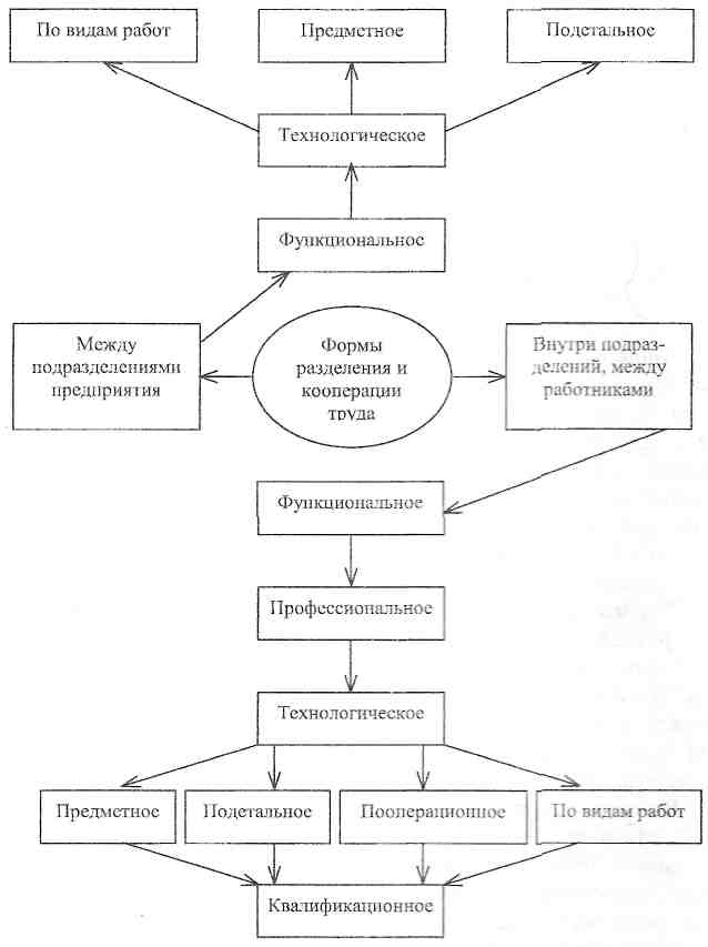 Технологическая схема разделения труда одномодельного потока