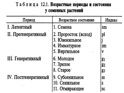 Возрастные периоды растения