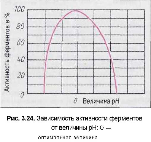 Изучите график зависимости выработки фермента. Величины активности фермента. Проанализируйте график зависимости активности ферментов от РН.. Зависимость динамической емкости от величины РН. График активности фермента от температуры.