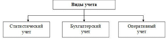 Новые виды учета. Статистический учет. Субъекты статистического учета схема. Основные виды статистического учета. Субъекты официального статистического учета.