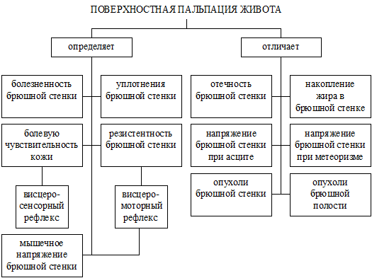 Пальпация живота. Поверхностная ориентировочная пальпация живота схема. Поверхностная пальпация живота алгоритм. Поверхностная ориентировочная пальпация живота алгоритм. Пальпация живота поверхностная и глубокая алгоритм.