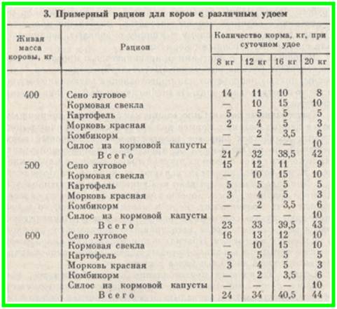 Сколько нужно давать телятам