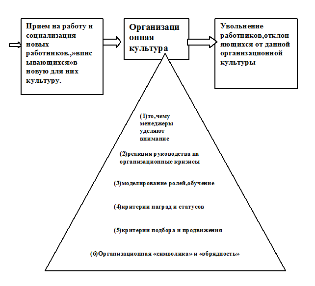 Организационной культуры курсовая