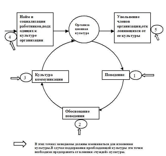 Система организационного поведения