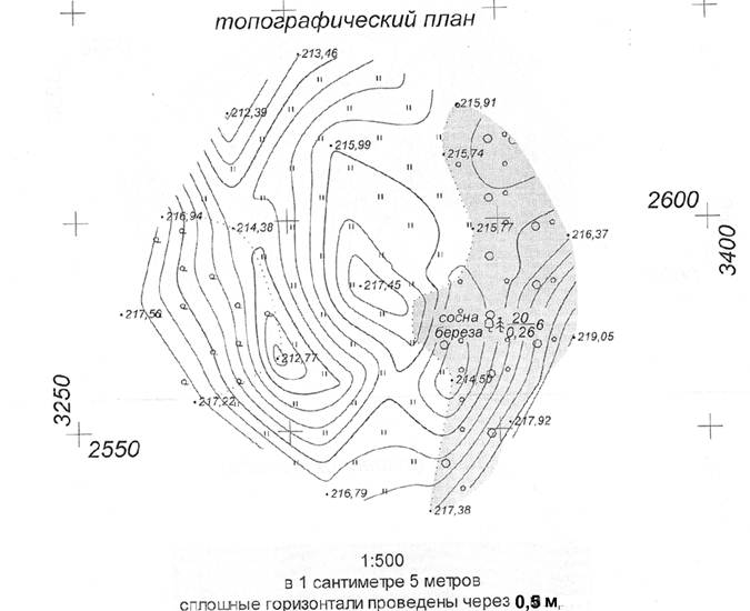 Топографический план масштаб