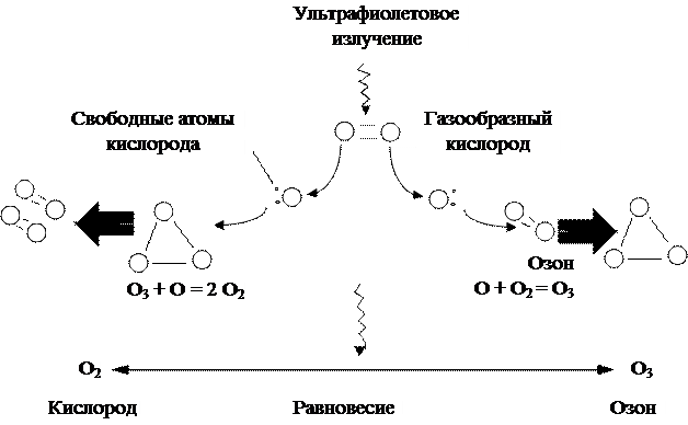 Схема механизма образования озонового слоя. Схема образования озона. Механизм образования озона. Образование и разрушение озона. Распад кислорода