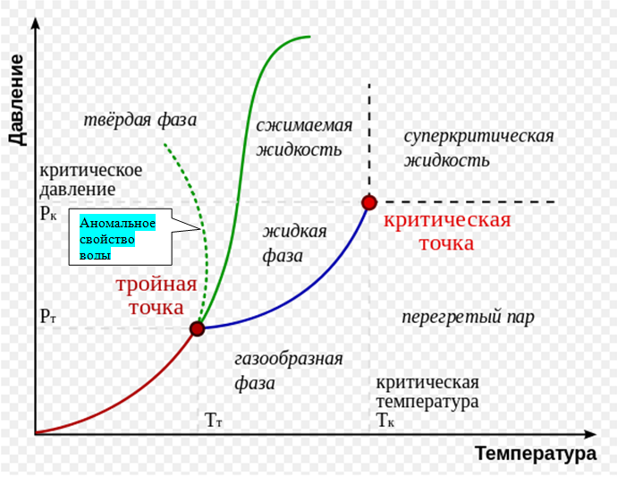 Жидкая и газообразная фазы