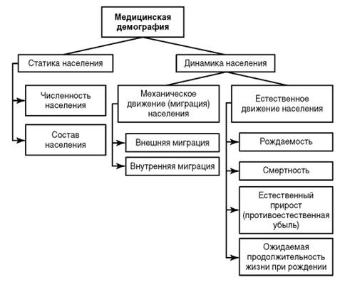 Шпаргалка: Основные демографические понятия и процессы