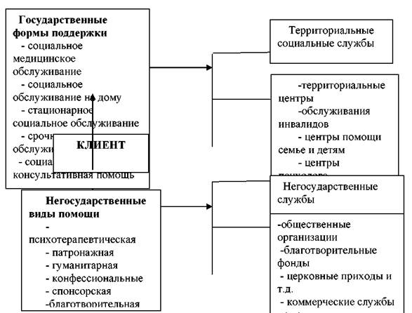 Негосударственные социальные учреждения. Система территориальных соц служб. Негосударственные виды помощи. Государственные и негосударственные виды социальной помощи.