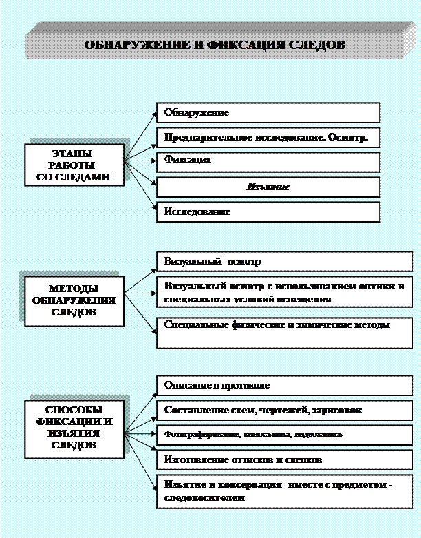 Схема классификации следов в трасологии