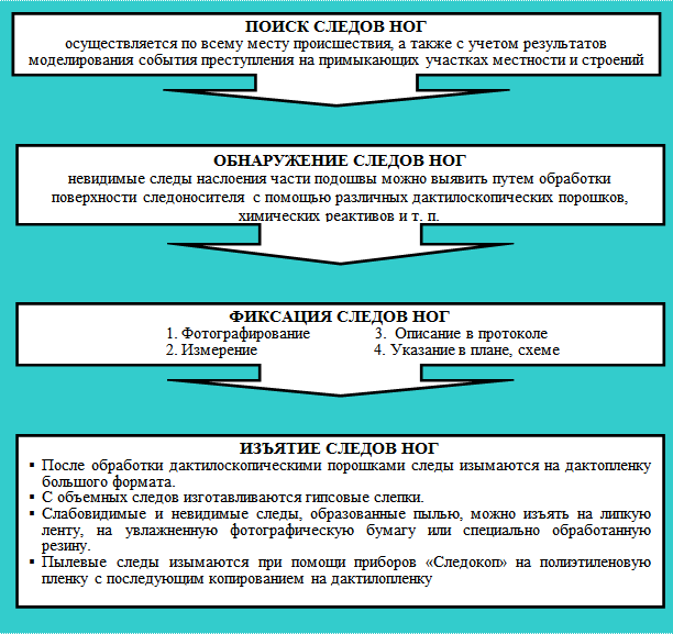 Протокол дорожки следов