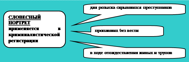 Достоинства словесного портрета