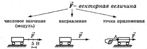 Модуль направление точка приложения. Сила векторное изображение. Сила Векторная величина. Сила характеризуется модулем направлением и точкой приложения. Направление и величина силы.