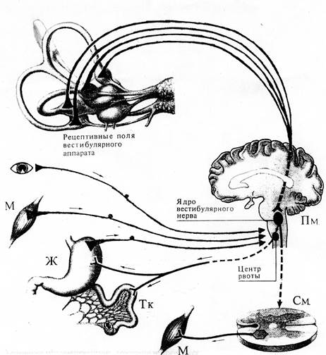 Каково значение вестибулярного анализатора. Схема вестибулярного анализатора. Рефлекторная дуга вестибулярного аппарата. Вестибулярный анализатор схема физиология. Схема рефлекторной дуги вестибулярного аппарата.