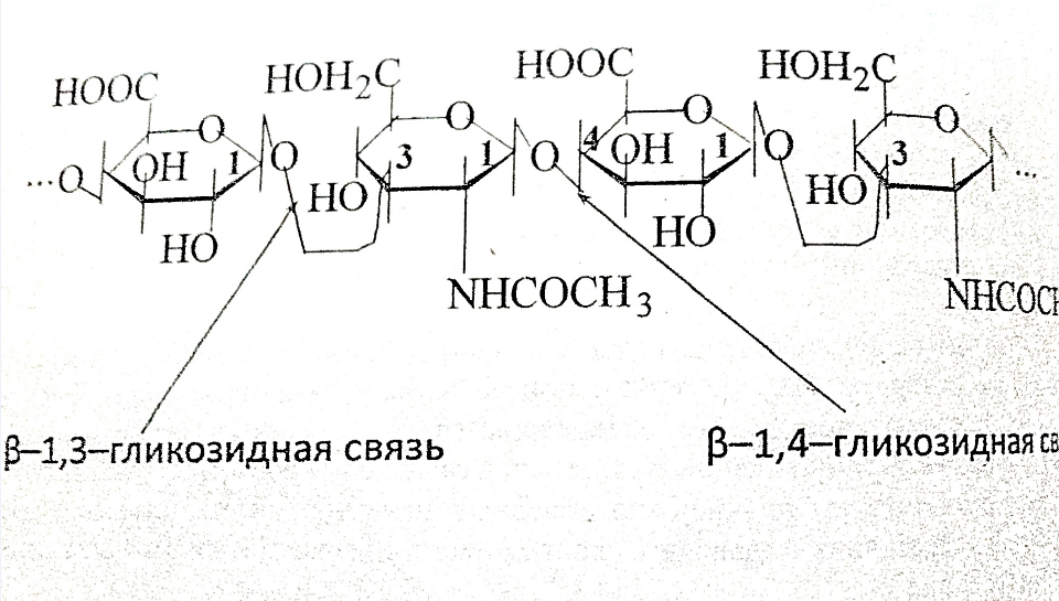 Связь 4 гликозидная