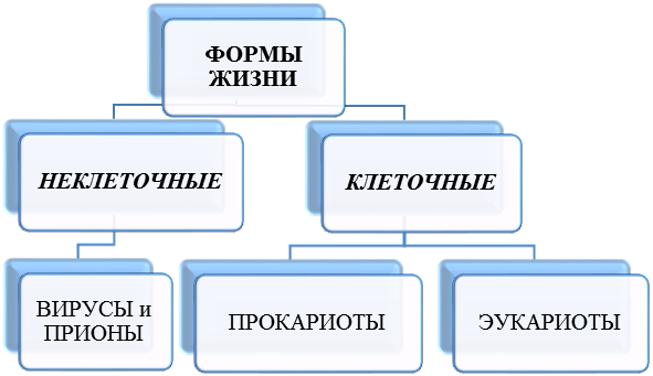 Жизненные формы клетки