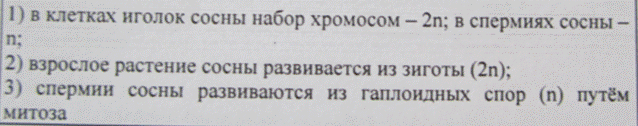 Какой хромосомный набор характерен для клеток мякоти