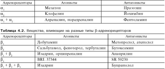 Адреналин мезатон. Эффекты возбуждения адренорецепторов таблица. Антагонисты адренорецепторов. Локализация адренорецепторов различных видов. Таблица эффекты вызываемые стимуляцией адренорецепторов.