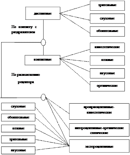 Картинки МЕСТА РАСПОЛОЖЕНИЯ РЕЦЕПТОРОВ