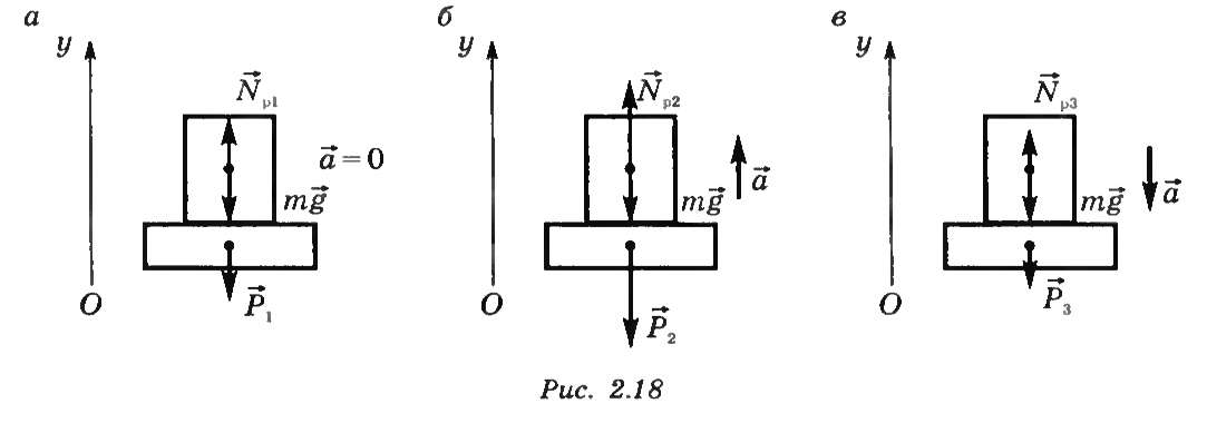 Вес тела направлен вверх. Вес тела при движении вверх и вниз с ускорением. Вес тела движущегося с ускорением вверх и вниз. Вес тела движущегося с ускорением физика. Вес тела движущегося с ускорением направленным вверх формула.